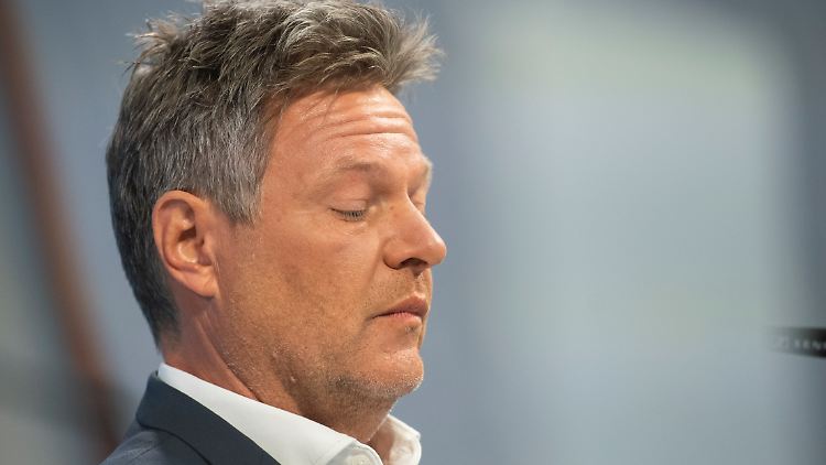 "Es ist der eine Fehler zu viel", sagte Habeck über Patrick Graichen.