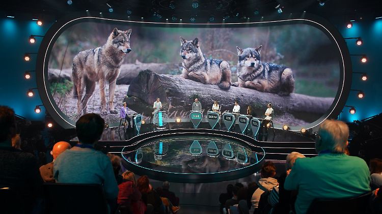 Die GEO-Show startet mit einer aufwühlenden Reise ins Reich der Wölfe.