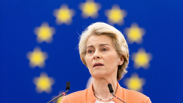 FDP-Fraktionschef Dürr wirft der EU-Kommission und ihrer Chefin von der Leyen Überregulierung vor.