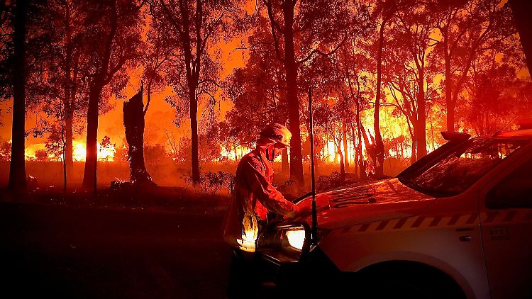 El Niño führt nicht nur zu Überschwemmungen, sondern auch zu Dürren und Waldbränden.