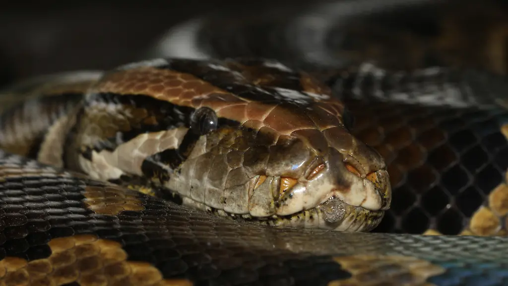 urn-binary-dpa-com-20090101-240315-99-348765-FILED