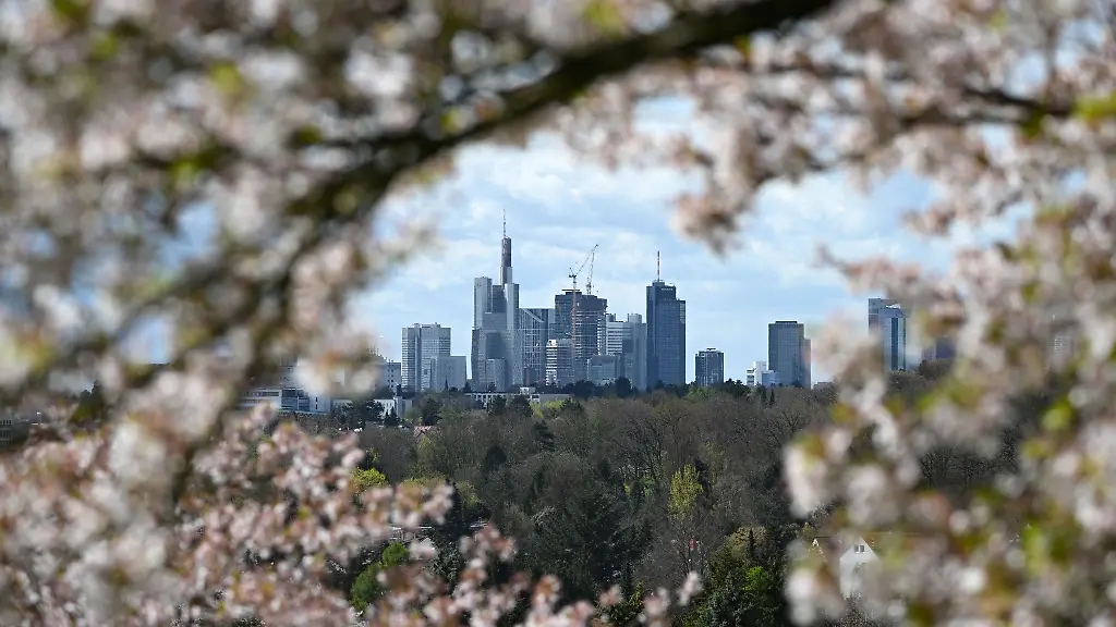 Durch-einen-bluehenden-Baum-aus-sind-die-Hochhaeuser-der-Innenstadt-zu-sehen