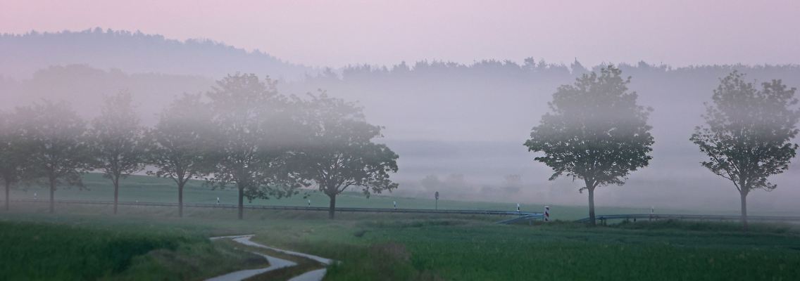 180b9828092a160dbb7f3ea1ee78c75e.jpg