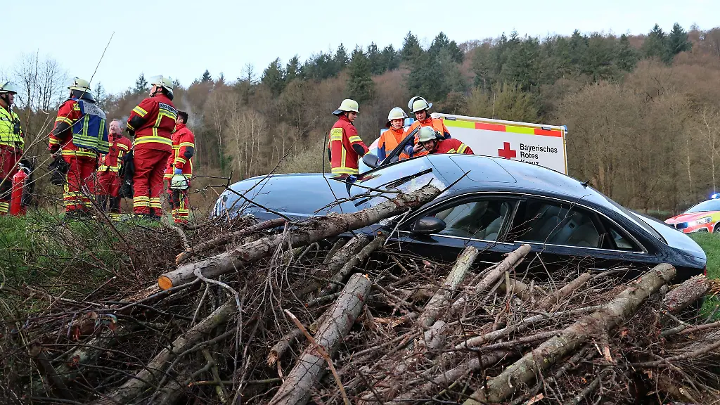 Bei-einem-Verkehrsunfall-in-Elsenfeld-Rueck-hat-ein-Baumstamm-die-Windschutzscheibe-eines-Autos-durchbohrt-und-den-Fahrer-schwer-verletzt