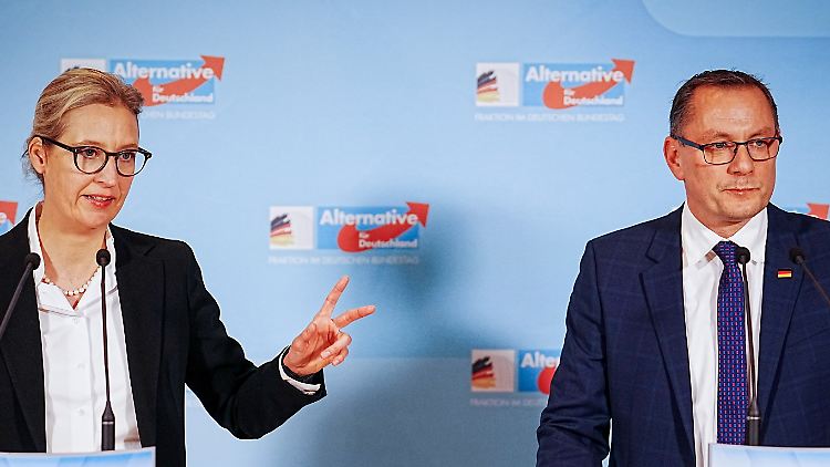 Nach Aussagen der Parteichefs Weidel und Chrupalla tritt die AfD aktiv für die Wahrung der Demokratie ein. 