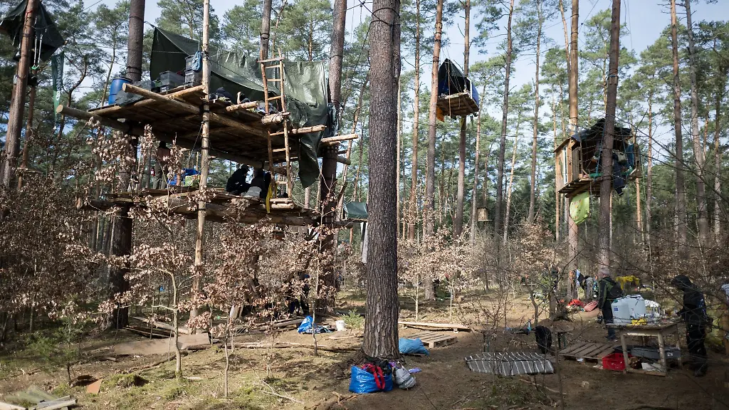 Baumhaeuser-haengen-in-einem-Camp-der-Initiative-Tesla-stoppen-in-einem-Kiefernwald