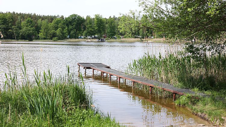 Die beiden jungen Männer verbrachten den Feiertag am Großen Wentowsee in Brandenburg.