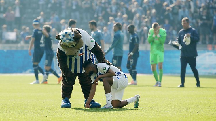 Hertha BSC ist bereits abgestiegen. Auch das Maskottchen Herthinho trauert.