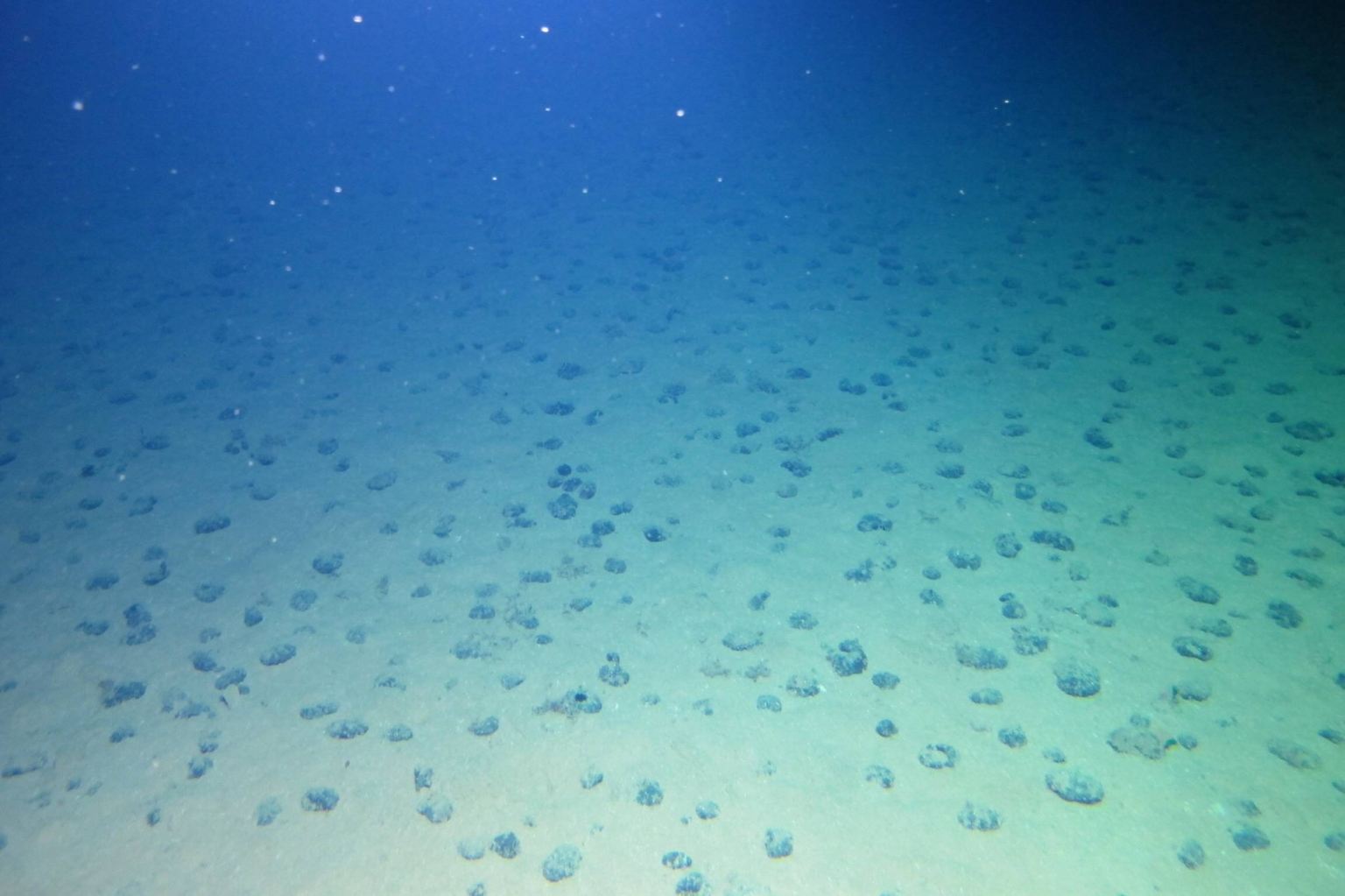 Im größten potenziellen Bergbaugebiet der Welt, mitten im Pazifischen Ozean, ...