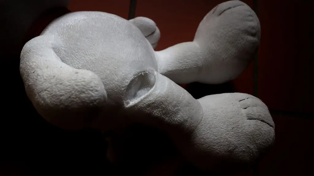 Ein-Stofftier-mit-einem-Riss-am-Bein-liegt-auf-dem-Fussboden-einer-Wohnung