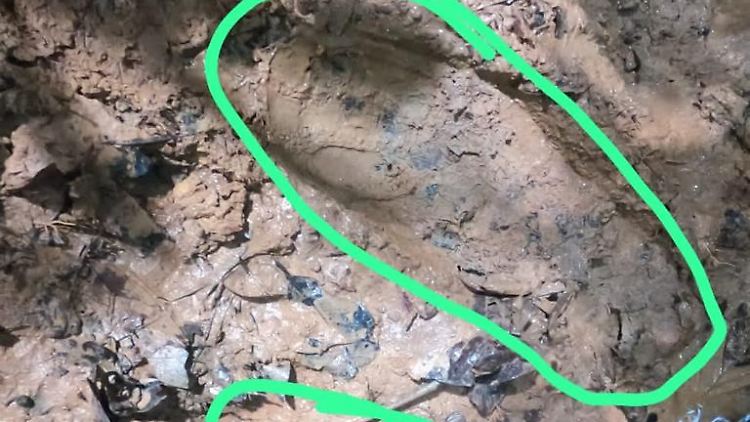 Der im Schlamm entdeckte Fußabdruck könnte zu dem vermissten 13-jährigen Mädchen gehören.