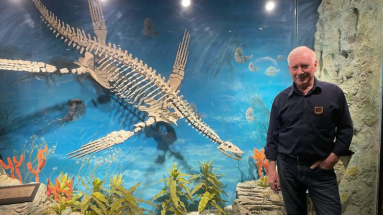 Robert Oberdorfer steht neben dem Ausstellungsstück "Nessie", ein in Teilen opalisiertes Skelett eines Pliosaurus.