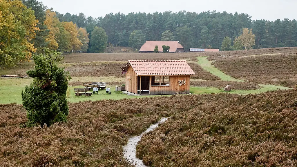 Blick-auf-eine-Schutzhuette-in-in-Kronsbergheide-in-der-Lueneburger-Heide