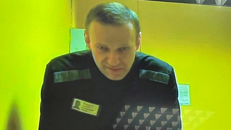 Das Moskauer Stadtgericht veröffentlichte dieses Bild von Alexej Nawalny. 