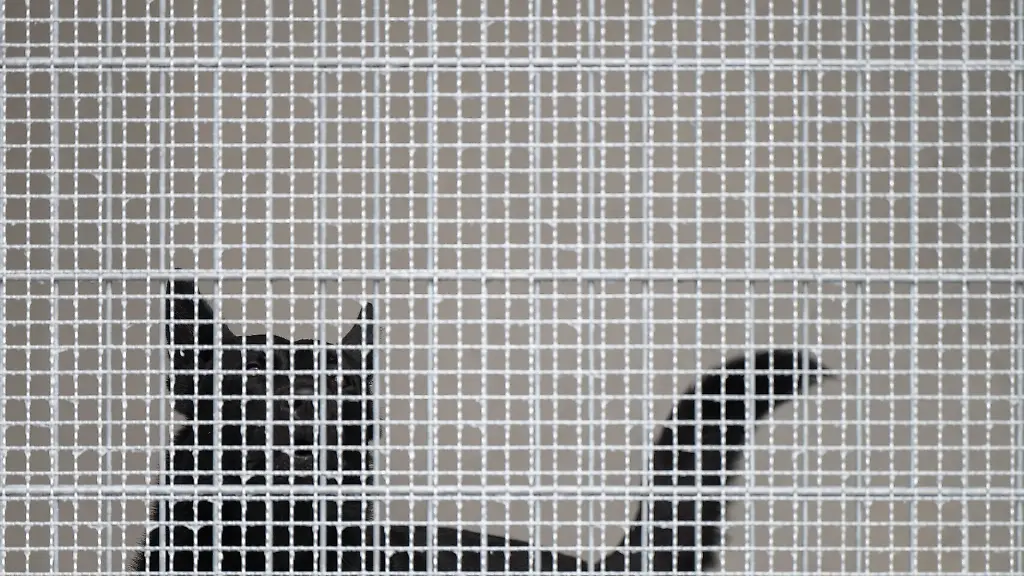 Ein-Polizeihund-bellt-waehrend-eines-PR-Rundgangs-in-einem-in-seinem-Zwinger