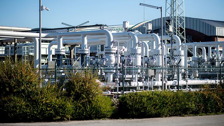 Der Gasverbrauch in Österreich sei zuletzt reduziert worden, die Abhängigkeit von russischem Gas sei aber weiterhin hoch, warnte Roiss. 