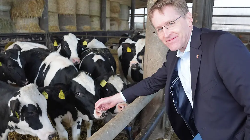 Daniel-Guenther-CDU-Ministerpraesident-von-Schleswig-Holstein-steht-im-Kuhstall-auf-dem-Bauernhof-von-Bauernpraesident-Lucht