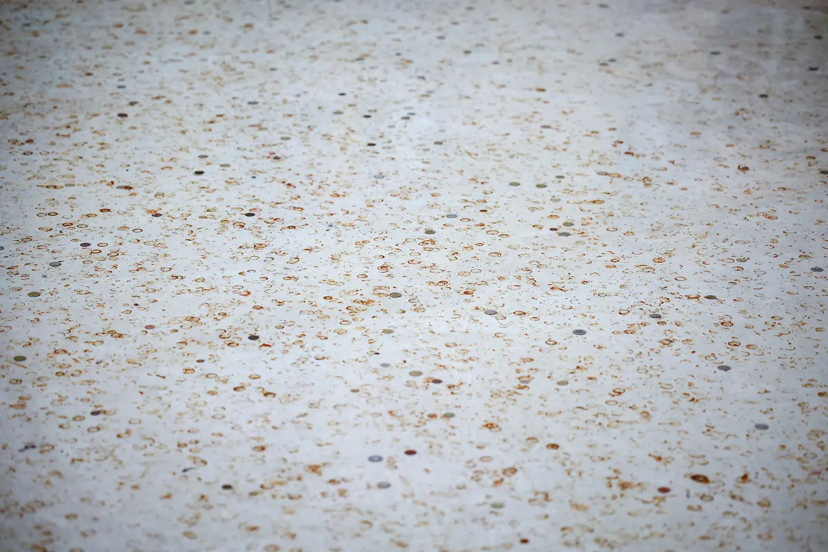 fcabbe44cacedb55ee89c886f9962343