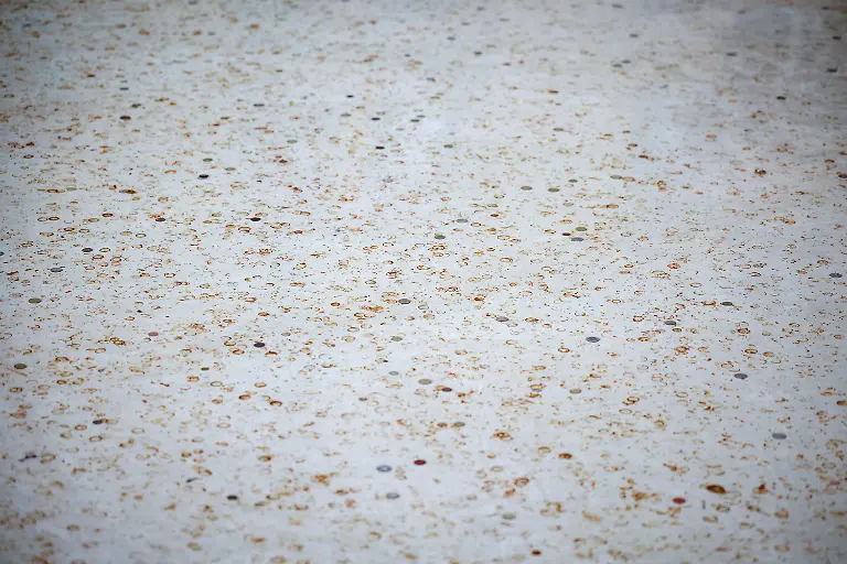 fcabbe44cacedb55ee89c886f9962343