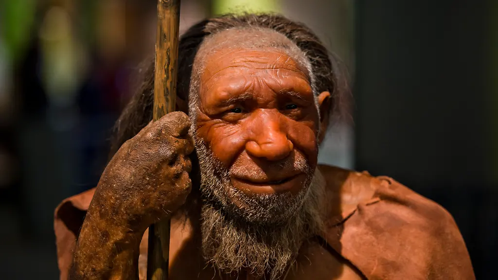 Neandertaler