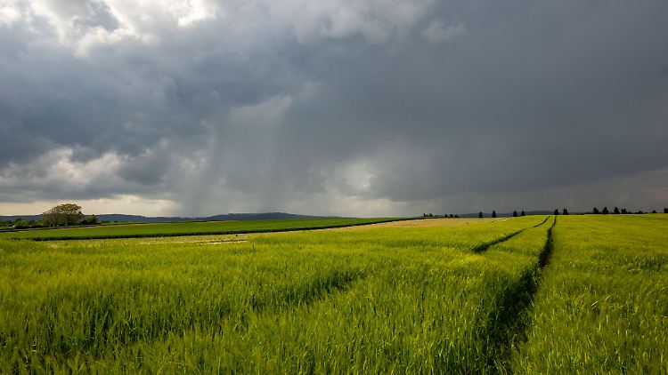 In den vergangenen zwei Jahrzehnten war nur das Frühjahr 2006 noch regenreicher.