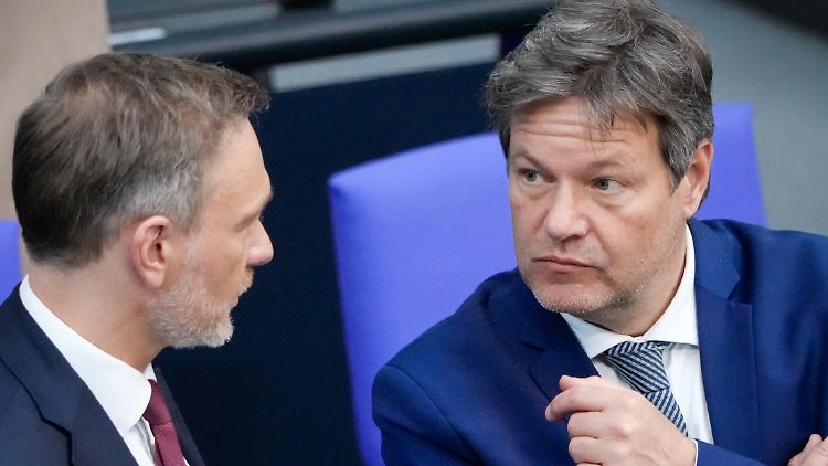 "Und, zufrieden?" - Das Wirtschaftsministerium von Robert Habeck hat einen langen Fragenkatalog der FDP von Christian Lindner schriftlich beantwortet. 