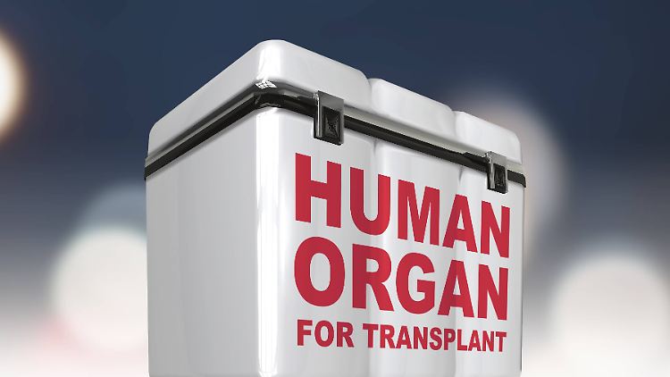 Entnommene Organe müssen möglichst schnell vom Spender zum Empfänger transportiert werden.