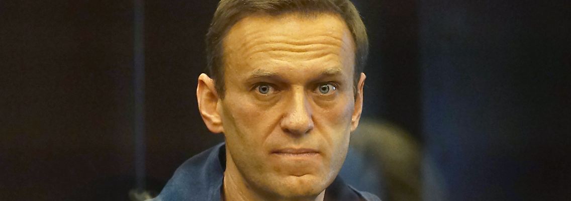 230871981.jpg