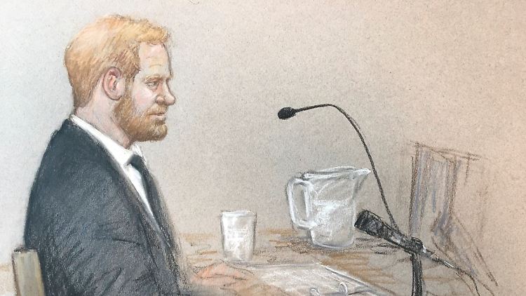 Mitglieder der Royal Family äußern sich üblicherweise nicht über die Regierung - Harry brach vor Gericht mit seiner Zurückhaltung.