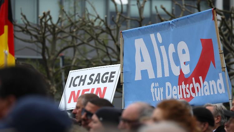 AfD-Demo Ende April in Erfurt. 