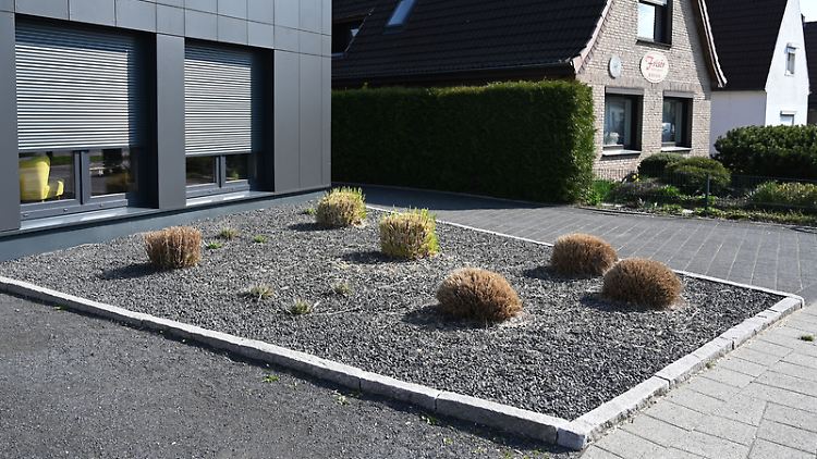 Schottergärten sollen modern und gepflegt wirken.