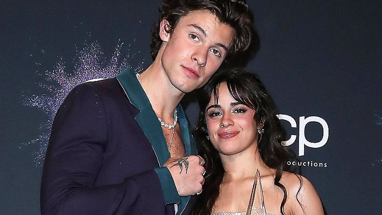 Passen laut einer Quelle "romantisch" nicht zusammen: Shawn Mendes und Camila Cabello.