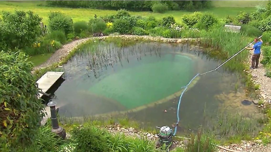 Schwimmteich.JPG