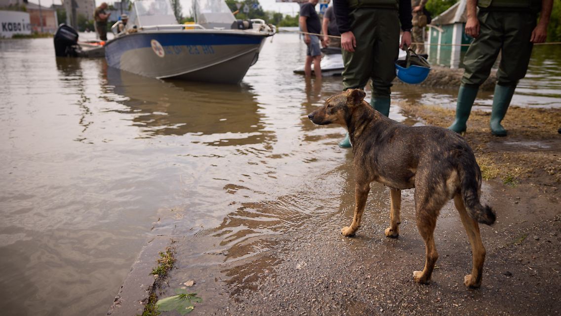 Mehr als 2000 Menschen und Hunderte Tiere seien in Sicherheit gebracht worden.