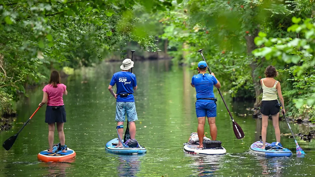 Personen-sind-auf-Stand-up-Paddle-Boards-auf-einem-Fliess-im-Spreewald-unterwegs