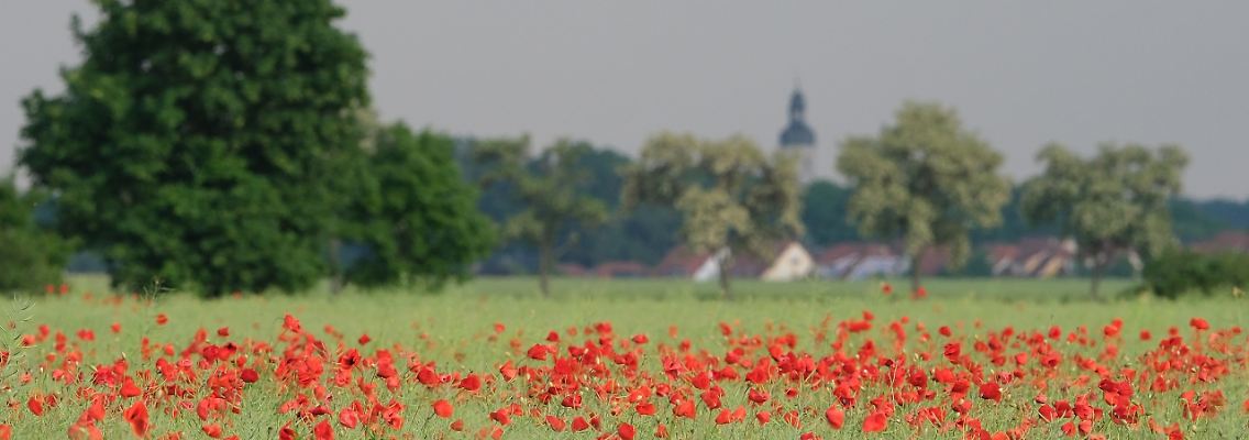Von einzelnen Schauern bis hin zu häufigen und intensiven Gewitterregen haben die Wettermodelle für die kommende Woche alles im Angebot.