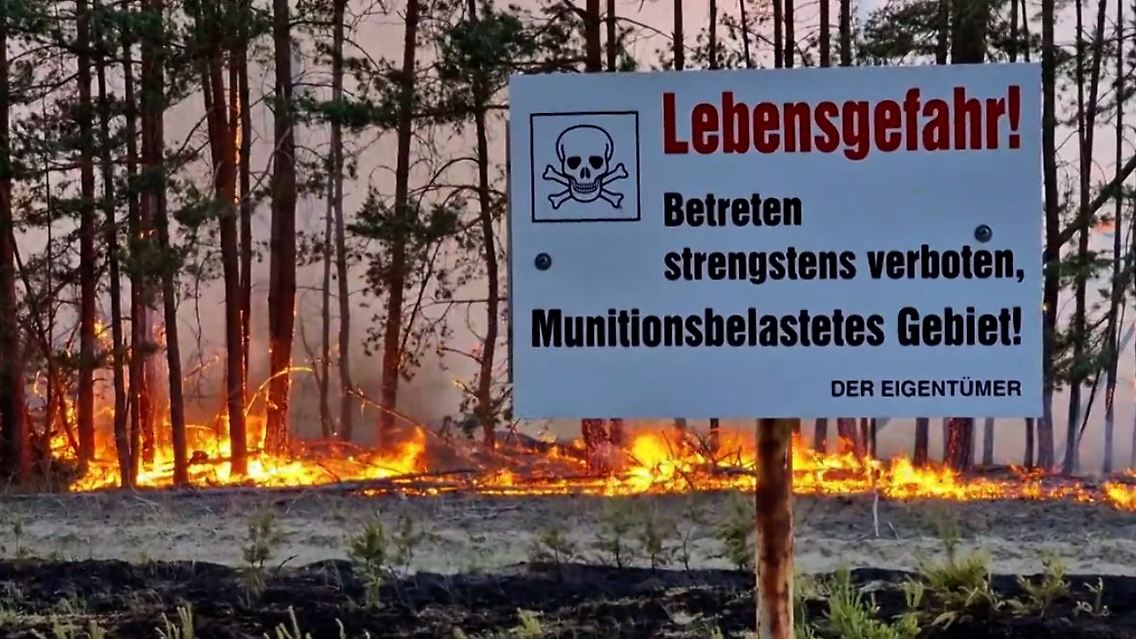 waldbrand.JPG