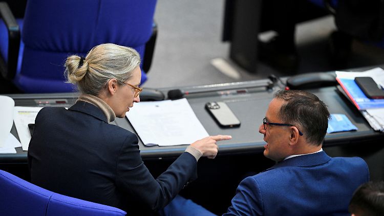 Der Bundesprogrammkommission gehören auch die Parteichefs Alice Weidel und Tino Chrupalla an.