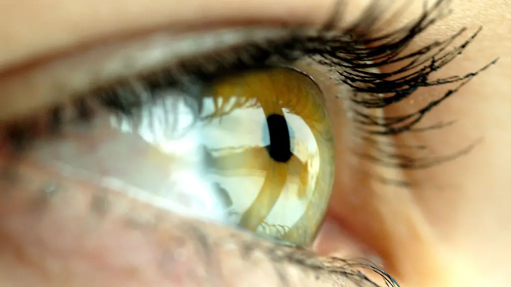 Kann-durch-angemessene-Vorkehrungen-am-Arbeitsplatz-eine-Gleichstellung-erreicht-werden-darf-ein-Bewerber-mit-Sehbehinderung-nicht-automatisch-abgelehnt-werden