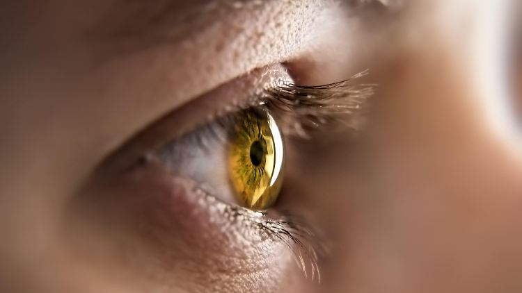 Die Farbe der Augen wird von der Konzentration des Stoffes Melanin bestimmt.