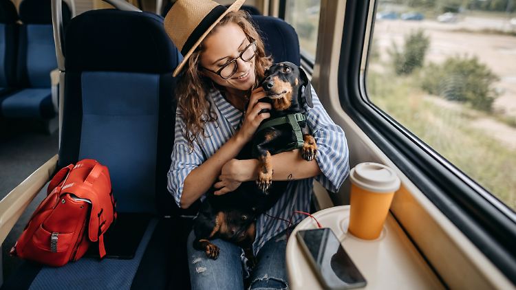 Zugfahren mit Hund: Tipps für ein entspanntes Reisen mit dem Vierbeiner.