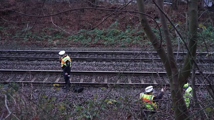 Der Unfall ereignete sich während Rückschnittarbeiten (Symbolbild).