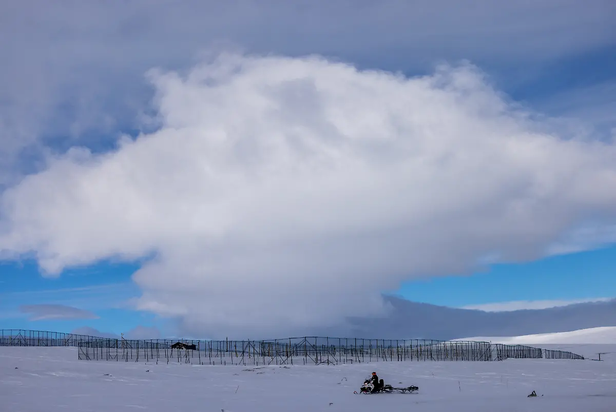 2024-02-29T080156Z-1522043039-RC2LZZ9N1A75-RTRMADP-3-CLIMATE-CHANGE-NORWAY-FOXES