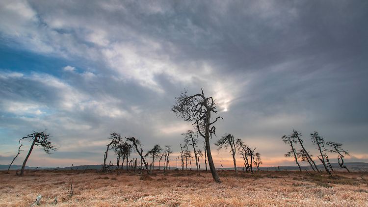 Tote Natur erinnert meist an apokalyptische Filmkulissen.