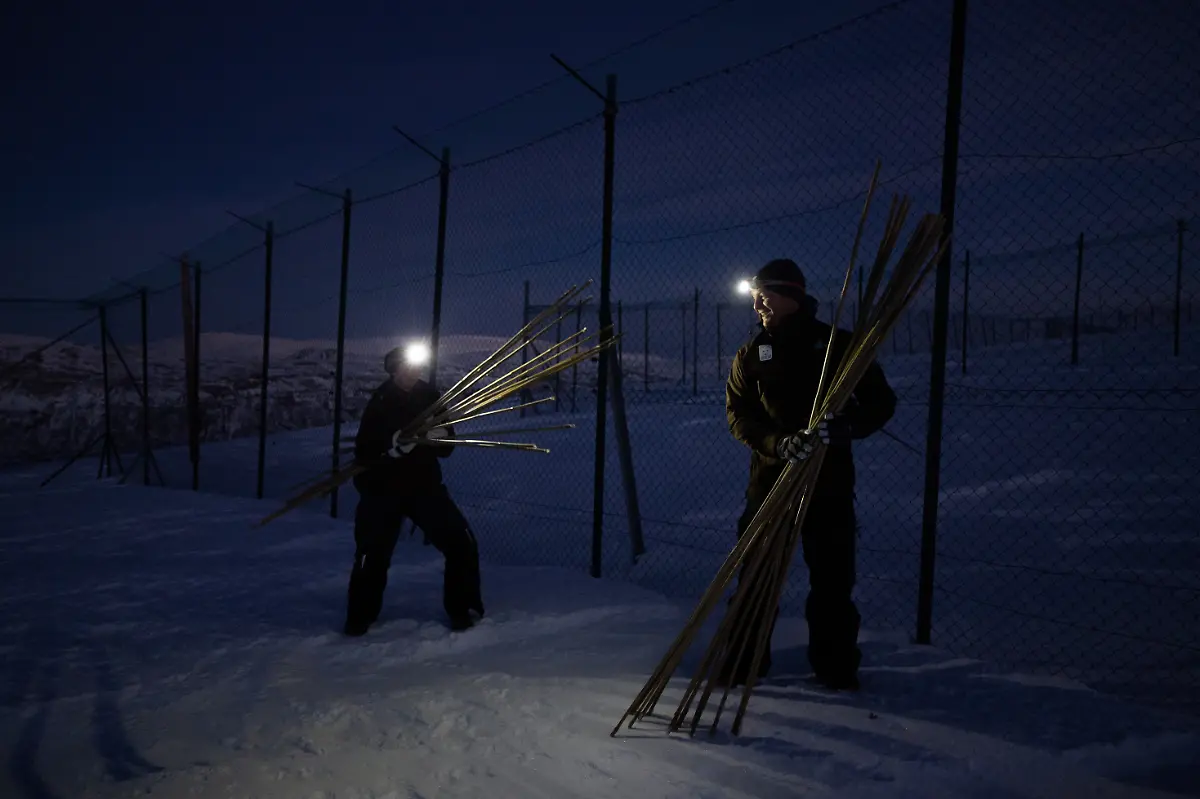 2024-02-29T080204Z-1344479702-RC2ES5A39F5F-RTRMADP-3-CLIMATE-CHANGE-NORWAY-FOXES