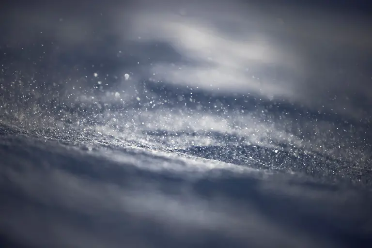 2024-02-29T080129Z-1904460202-RC2GYZ9QGFV8-RTRMADP-3-CLIMATE-CHANGE-NORWAY-FOXES