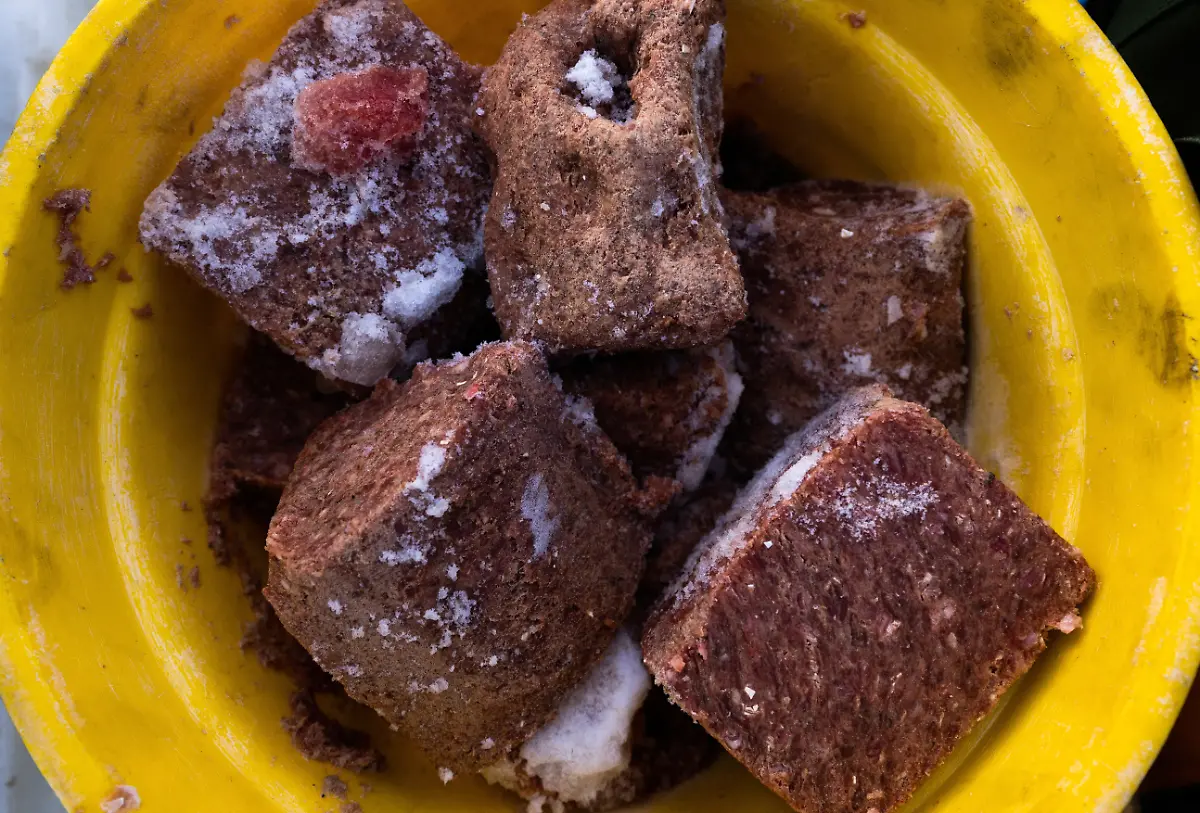 2024-02-29T080155Z-1164598387-RC29S5ANUBUI-RTRMADP-3-CLIMATE-CHANGE-NORWAY-FOXES