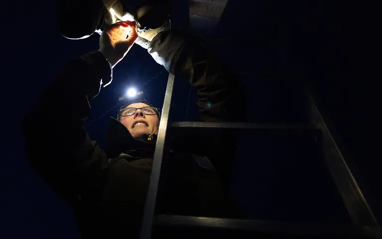 2024-02-29T080200Z-81403608-RC2FS5ABRVVF-RTRMADP-3-CLIMATE-CHANGE-NORWAY-FOXES