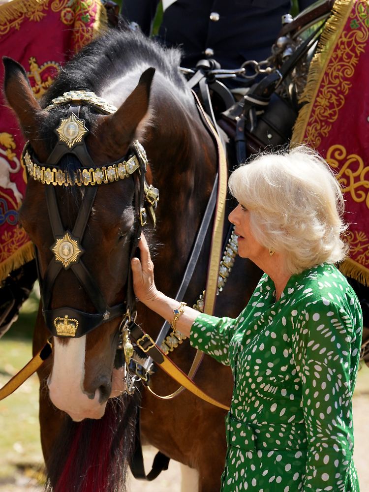 Königin Camilla mit dem neuen Drum Horse Juno, ehemals Willa Rose.