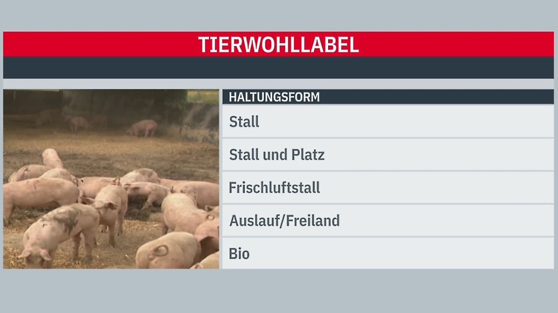 Unbenannt.jpg
